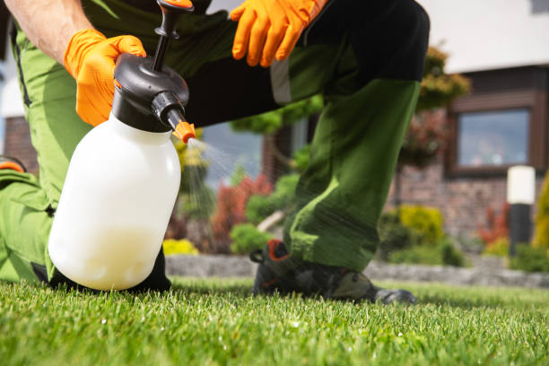 Best Pest Inspection Near Me  in Corsicana, TX