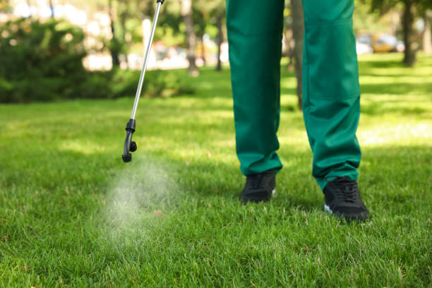 Best Affordable Pest Control Services  in Corsicana, TX