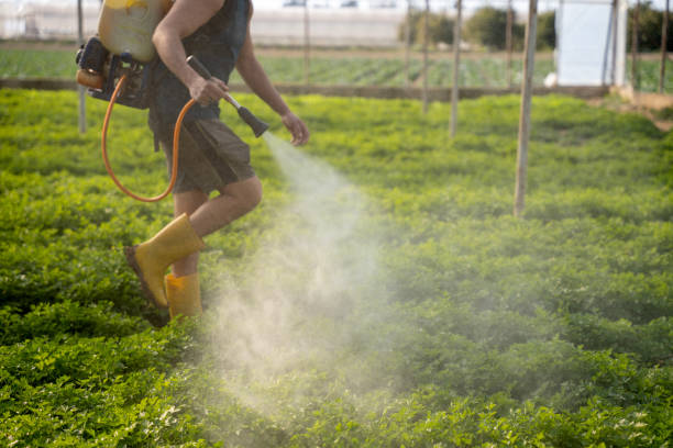 Best Mosquito Control Services  in Corsicana, TX