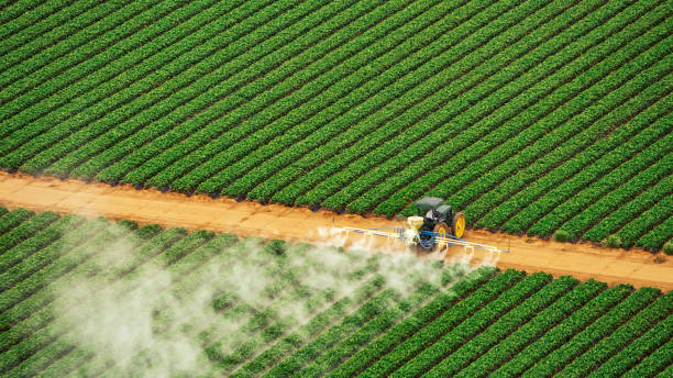 Best Pest Prevention Services  in Corsicana, TX