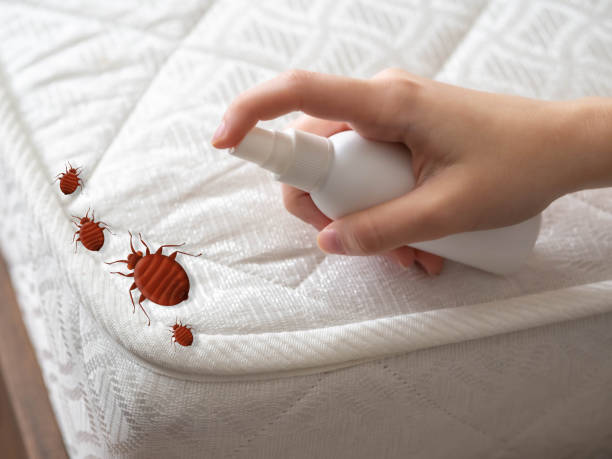 Best Local Pest Control Services  in Corsicana, TX